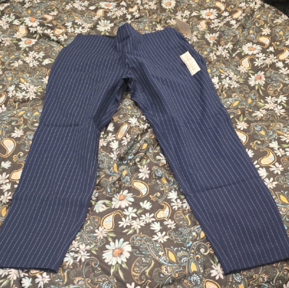 ❤️10/$13 New Blue Pinstripe Pants Ankle Pants Plus Size